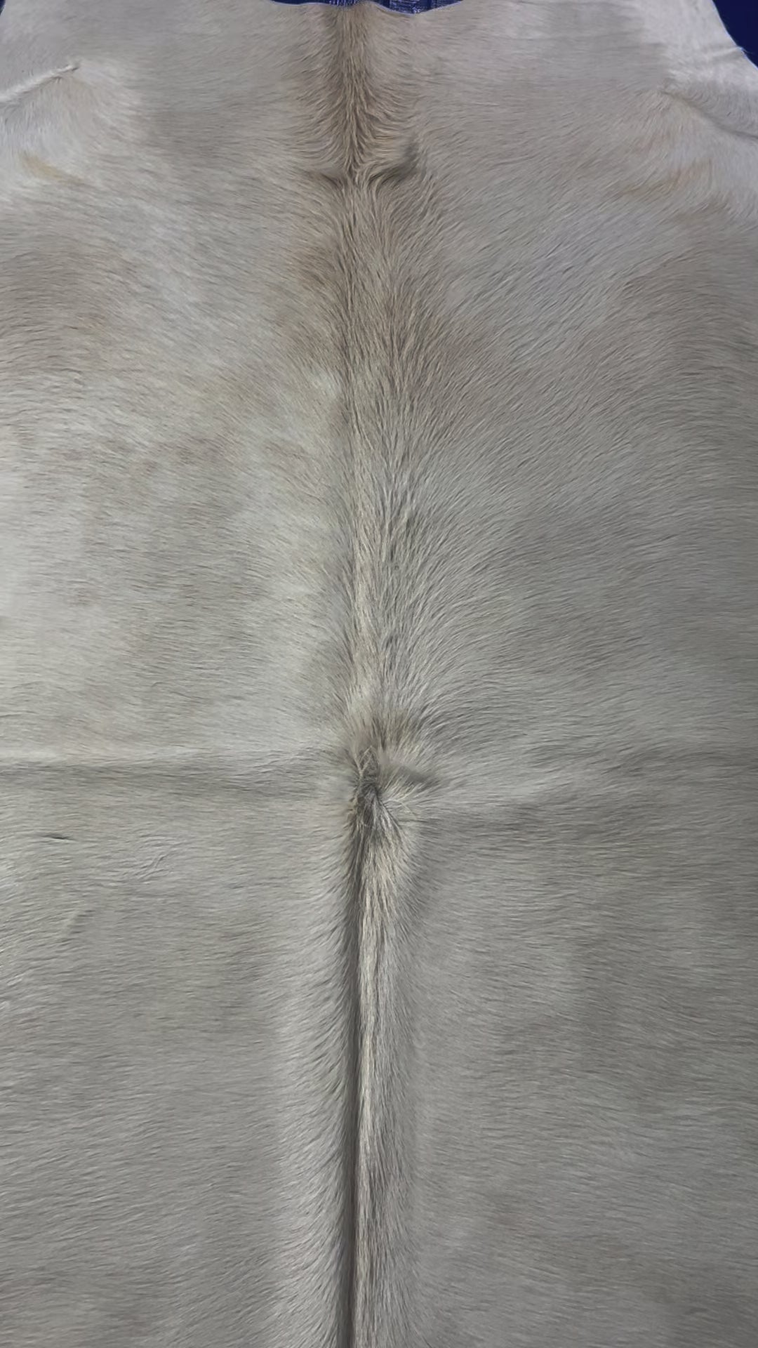 Solid Ivory Cowhide Rug (some grey smudges) Size: 7x7 feet D-331