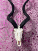 Kudu Skull - Real Greater Kudu Antelope Skull - Wall Art African Decor Antler Horn | Size: 41X18X18”/45" horns