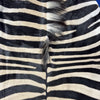 Zebra Skin Rug # 68 (HUGE/ 1 stitch/Tail is 31") Size: 8.5x7 feet