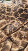 Real Giraffe Skin # 2 Approx. Size: 12'X6.5' (tail is 53")