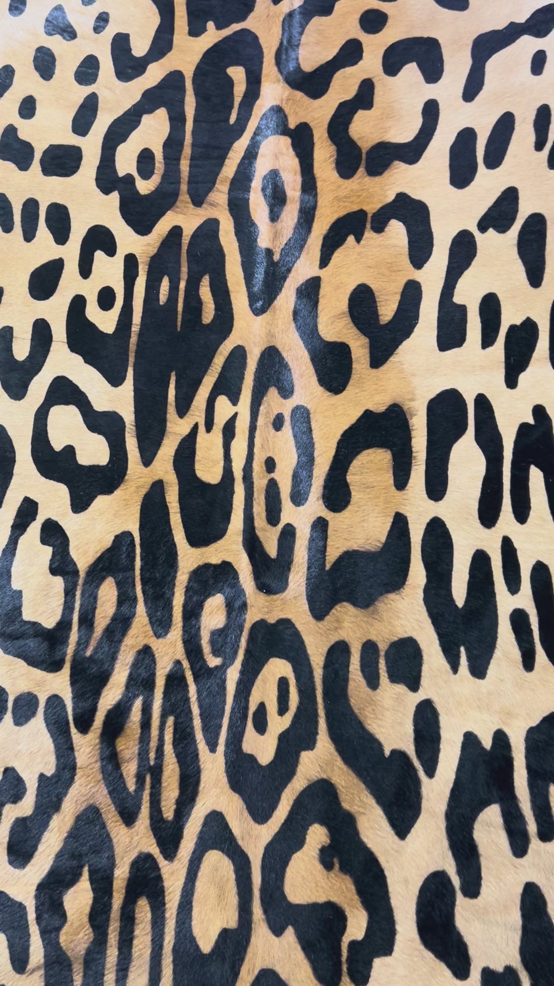 Blurry Jaguar Cowhide Rug Size: 6.2x6.2 feet Y-199
