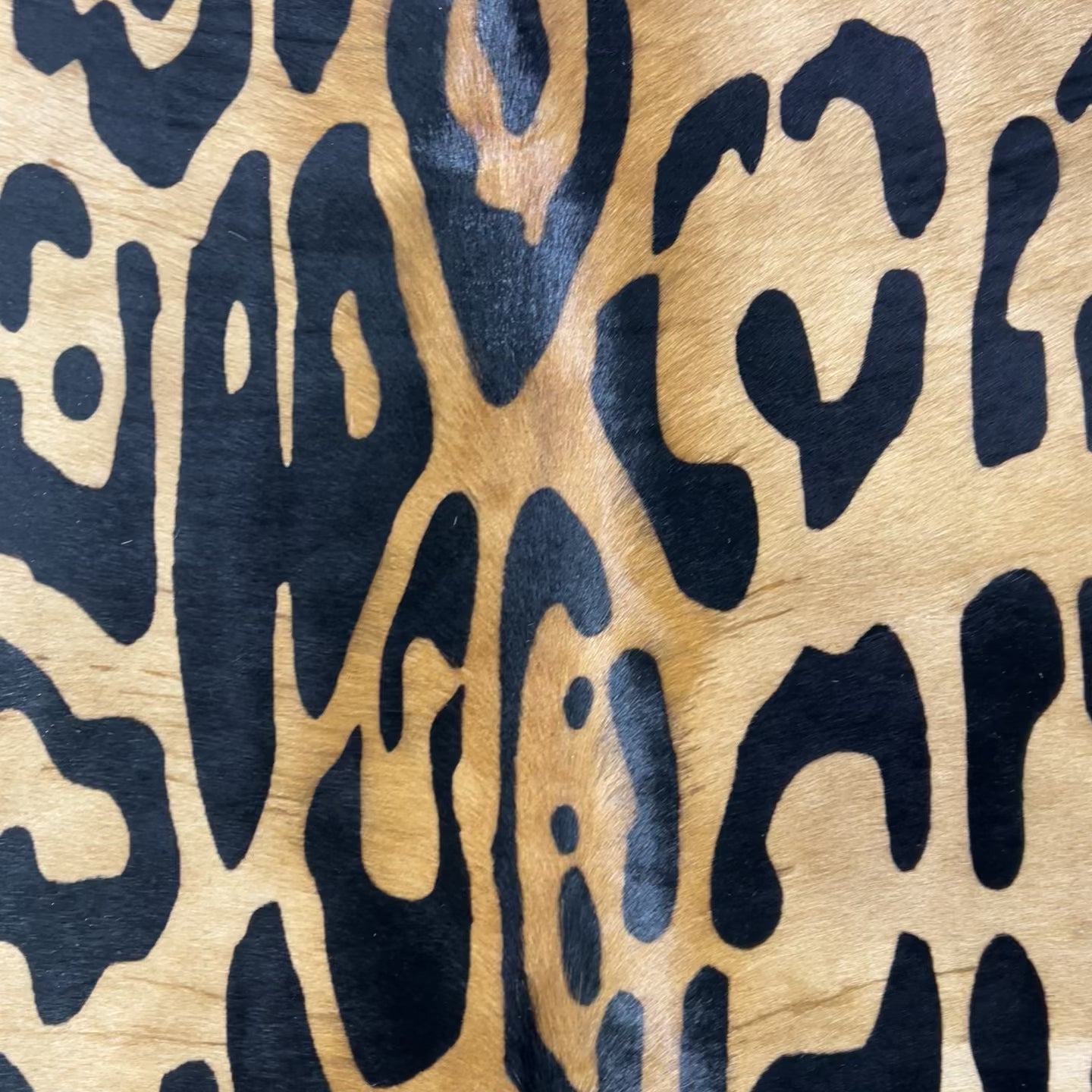 Blurry Jaguar Cowhide Rug Size: 7x6 feet Y-203