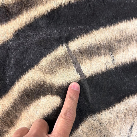 Real Zebra Skin Rug Hide # 27 HUGE Size: 8.5X 6.7 feet - FREE PILLOW CASE