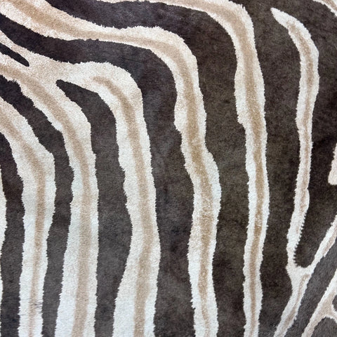 Genuine Zebra Cowhide Rug (faded / has a small hole) Size: 8x6.5 feet Z-115