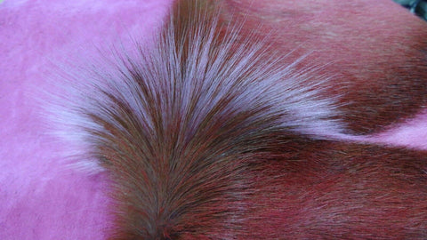 Pink Springbok Picture Dyed Blue Springbok Skin – Cowhides USA