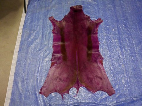 Dyed Purple African Springbok Skin African SPRINGBOK Skin African antelope - Approx. Size: 36X21", Deer Hide, Deer Skin, Buck Skin