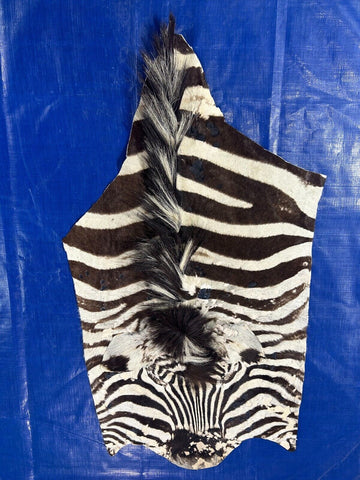 Burchells Zebra Face (distressed) Some imperfections Size: 41x22"