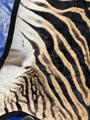 Real Zebra Skin Rug hide # 15 (felted) HUGE size: 8 X 6.5 feet (Brand New)