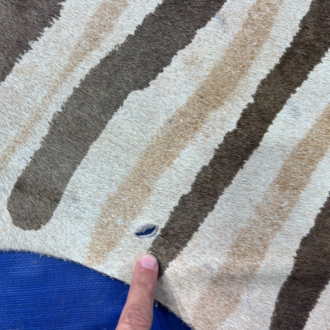 Genuine Zebra Cowhide Rug (faded / has a small hole) Size: 8x6.5 feet Z-115