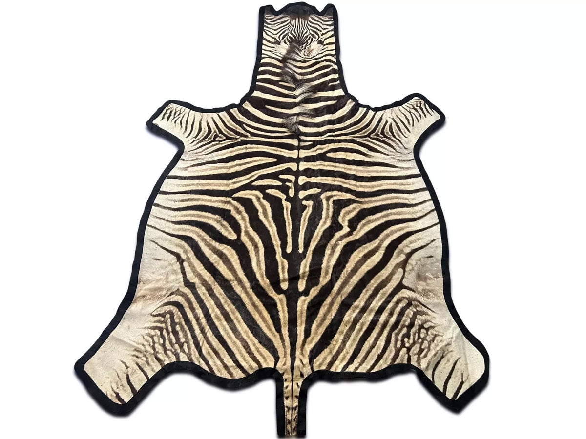 Real Zebra Rug # 16 + FREE PILLOW (felted/Tail is 29"/Nice Quality) Size: 8x6'