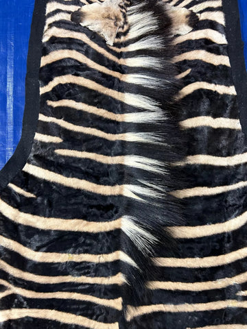 Real Zebra Skin Rug hide # 15 (felted) HUGE size: 8 X 6.5 feet (Brand New)