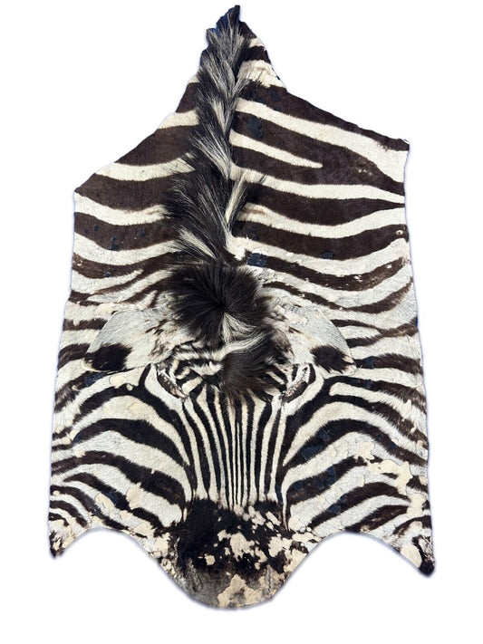 Burchells Zebra Face (distressed) Some imperfections Size: 41x22"