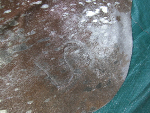 Gorgeous Hereford Cowhide Rug with Rose Gold Metallic Size: 8x7 feet C-1454