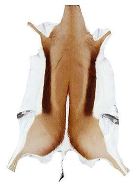 🎁 Springbok Skin - Natural Antelope Skin - antelope hide L (Approx Size 35"X20") (100% off)