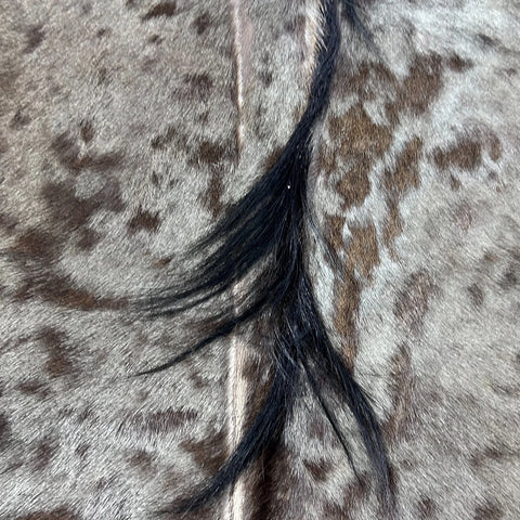 Wildebeest Skin (holes and scars/No tail ) Size: 60x56" D-943