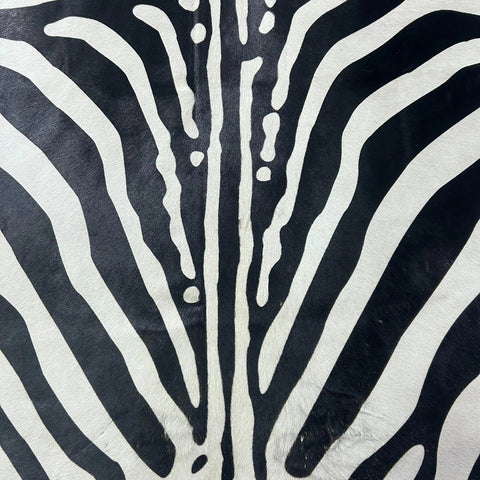 African Zebra Cowhide Rug Size: 7x5.5 feet Z-231