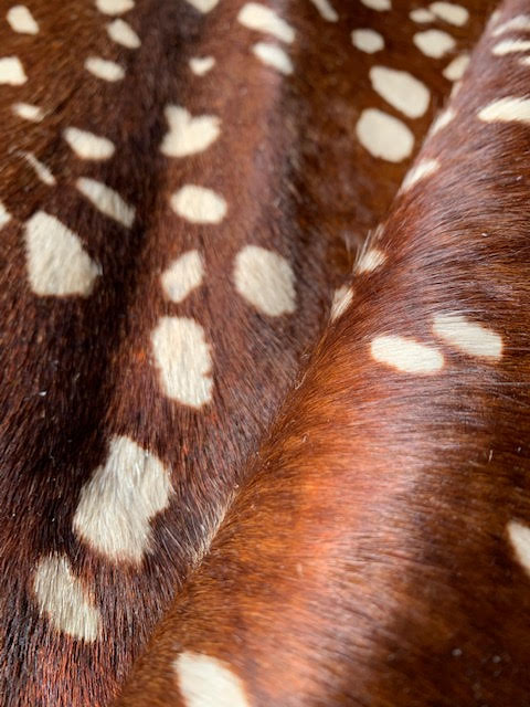 Axis Deer Print Cowhide Rug Size: 7' X 6' Brown/White Deer Print Cowhide Rug