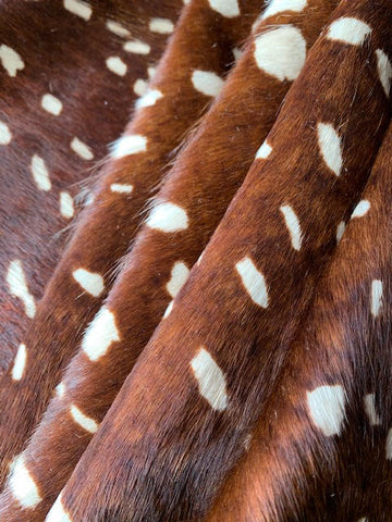 Axis Deer Print Cowhide Rug Size: 7' X 6' Brown/White Deer Print Cowhide Rug