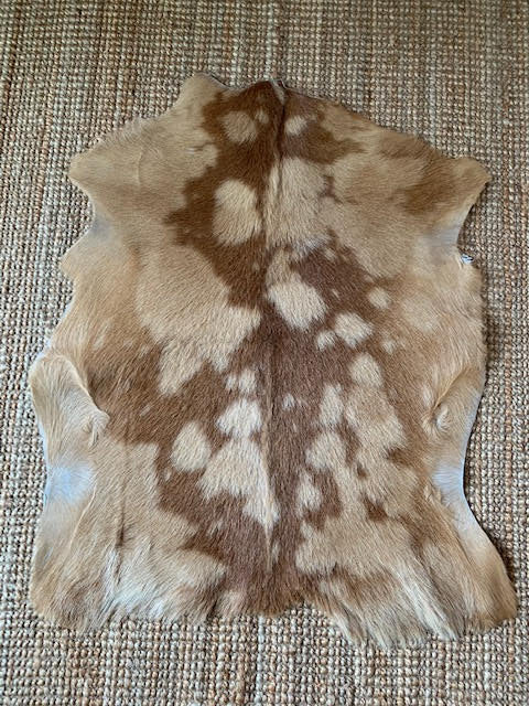 A-2061 Peau de chèvre tachetée caramel et cognac - Taille 36 po x 31 po