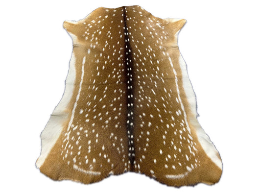 Top Grade Axis Deer Skin (no holes) Size: 40x33" Axis-726