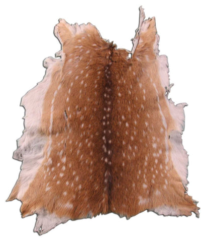 2nd Grade Axis Deer Skin Rug - Size: 38x28 inches Axis-639