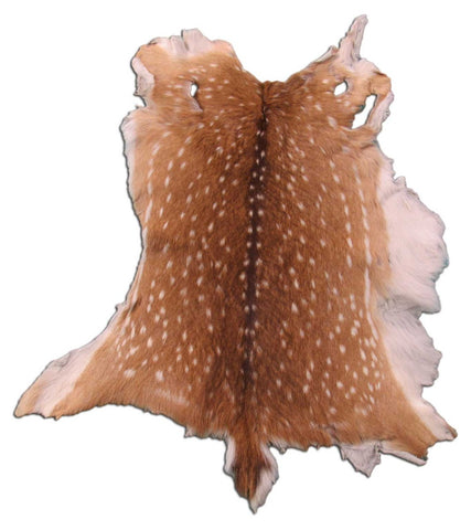 Axis Deer Skin Rug (2 holes) - Size: 34x30 inches Axis-640