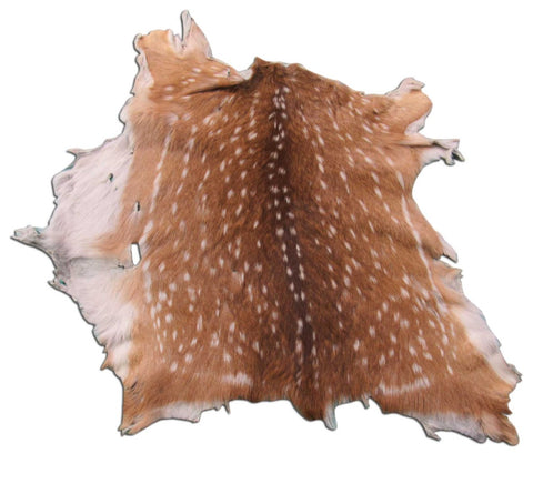 2nd Grade Axis Deer Skin Rug - Size: 27x31 inches Axis-641