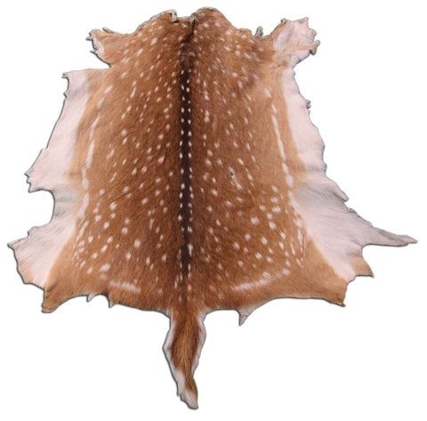 Axis Deer Skin Rug (a few holes) - Size: 35x35 inches Axis-642