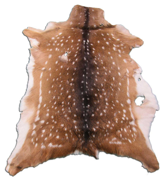 Axis Deer Skin Rug 2nd Grade Size: 40x32" Axis-646