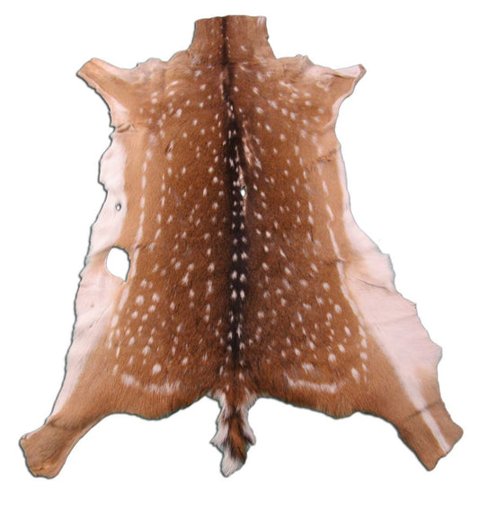 Axis Deer Skin Rug 2nd Grade Size: 43x35" Axis-647