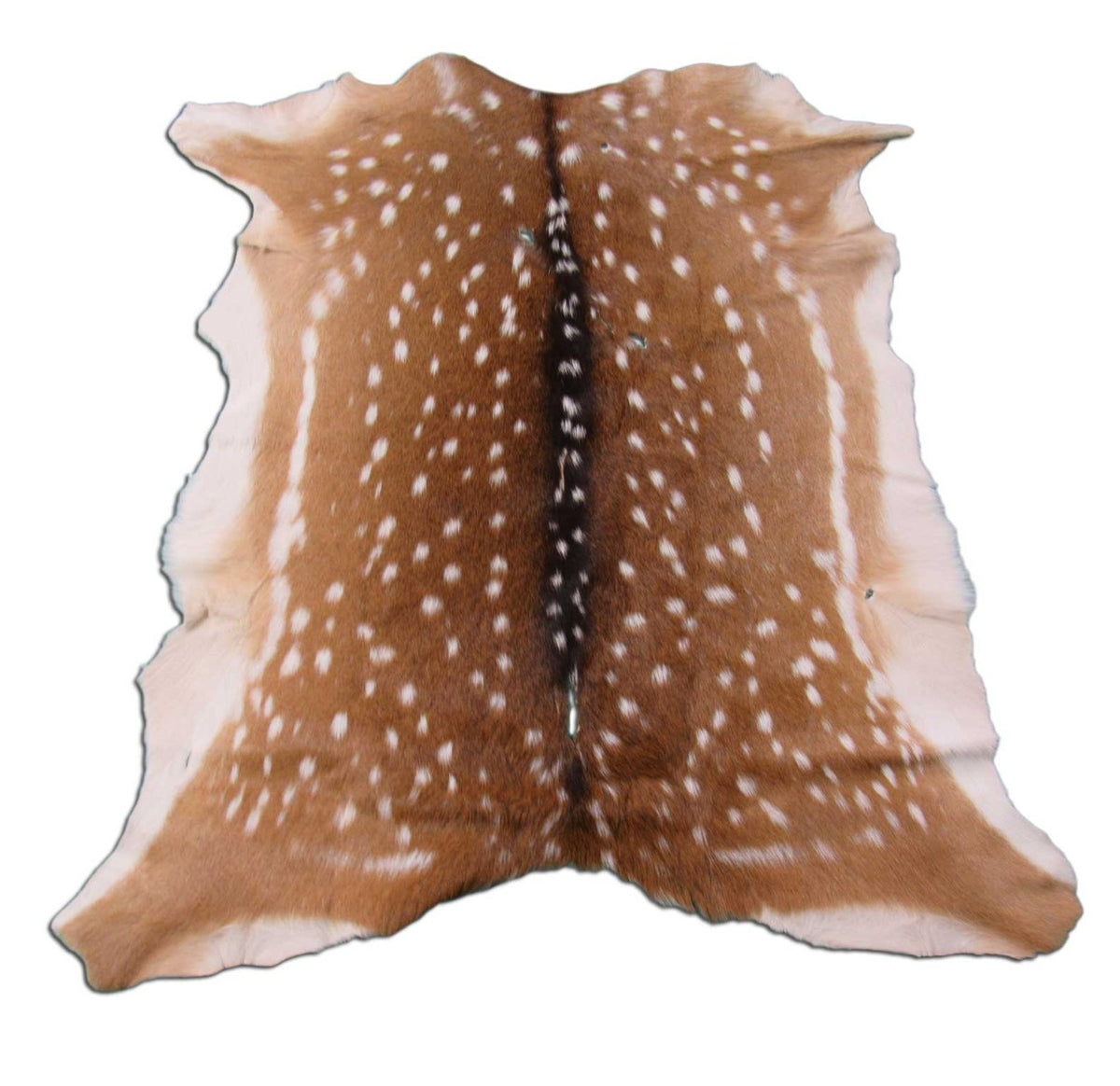 2nd Grade Axis Deer Skin (multiple holes) Size: 40x38" Axis-660