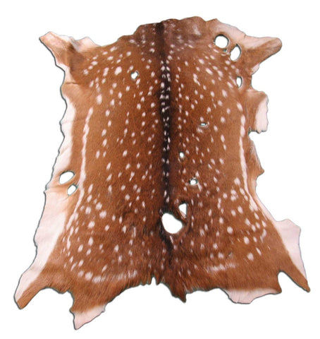 3rd Grade Axis Deer Skin Rug (many holes) - Size: 41"x34" Axis-662