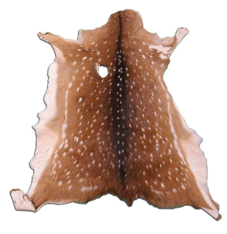 2nd Grade Axis Deer Skin Rug (one significant hole) Size: 37x30" Axis-665