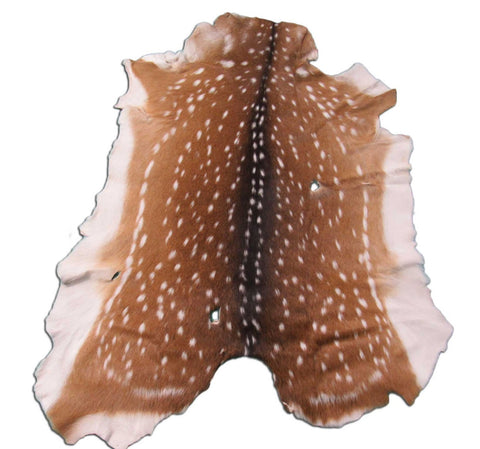 Second Grade Axis Deer Hide (some holes) Size: 47x39" Axis-668