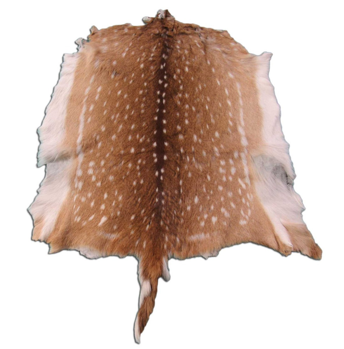 Rug Grade Juvenile Axis Deer Hide (long tail - 7") - Size: 27"x27" Axis-669