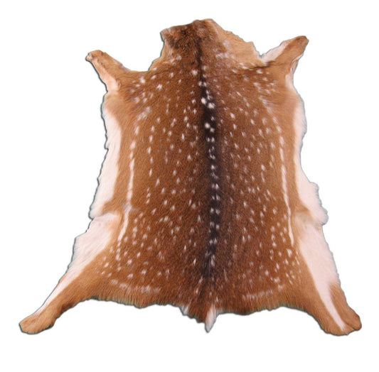 Young Axis Deer Skin (perfect quality) Size: 34x32" Axis-671