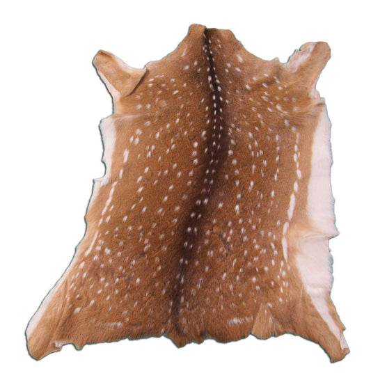 Nice Axis Deer Skin (spine is a bit crooked) Size: 34x30" Axis-672