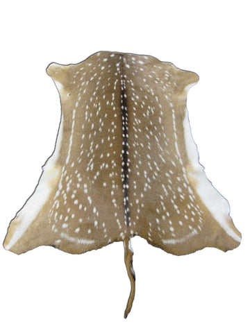 Top Grade Axis Deer Skin (1 small hole/ has tail) - Size: 42"x39" Axis-679