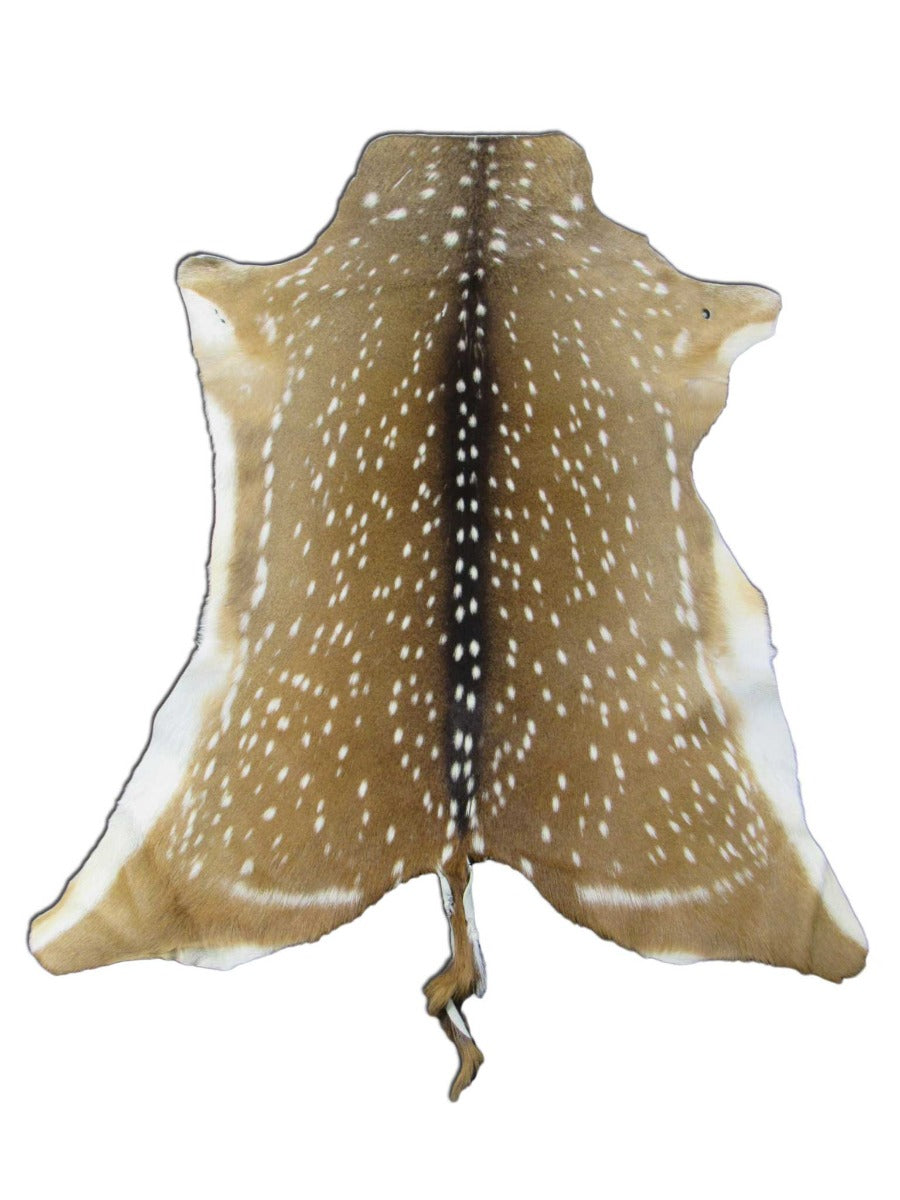 Huge Axis Deer Skin (3 small holes/ 1 scratch/ has tail) Size: 54x41" Axis-680