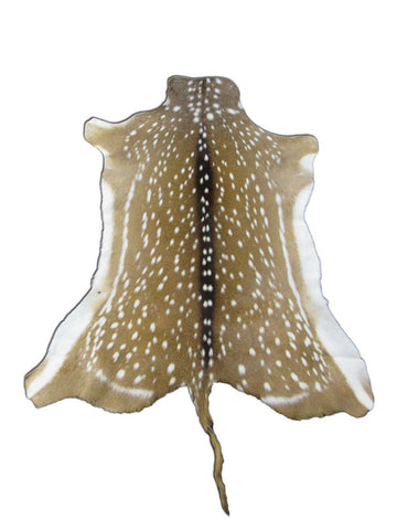 Top Grade Axis Deer Skin (2 holes/ super long tail) - Size: 51"x39" Axis-681