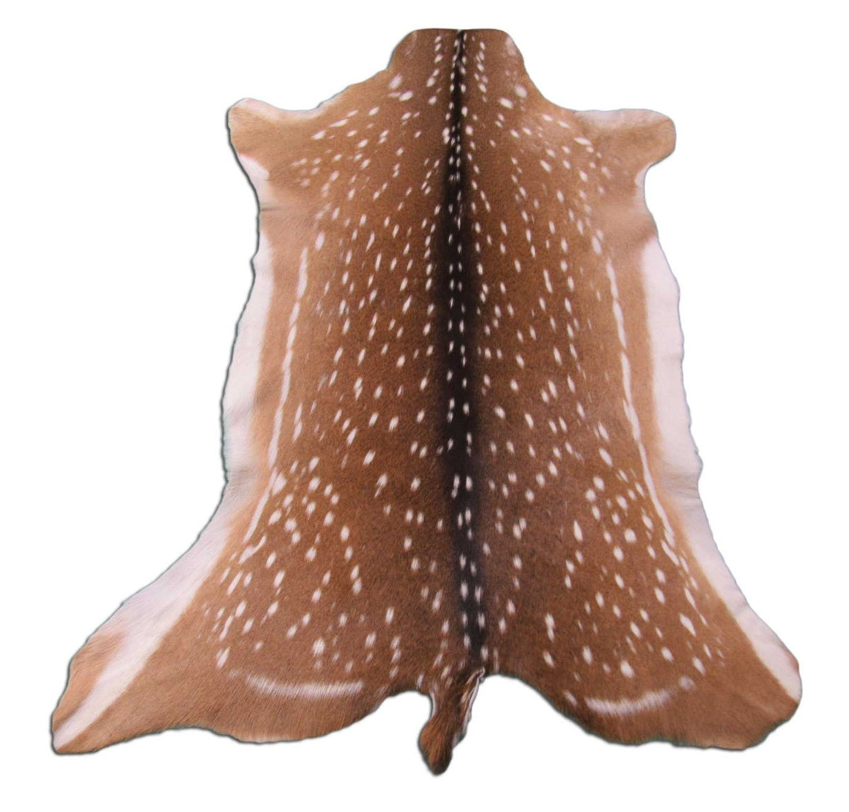 Top Grade Axis Deer Skin - Size: 45" x 36" Axis-683