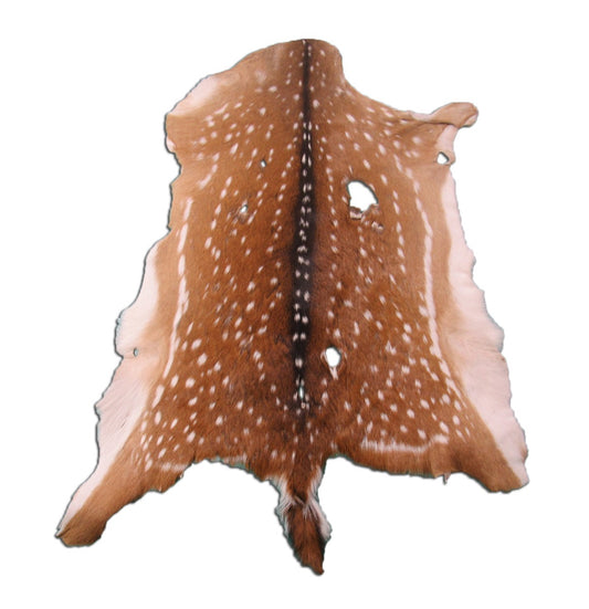 2nd Grade Axis Deer Skin (a few bald spots) Size: 38x30" Axis-687