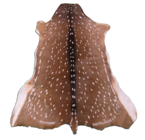 Gorgeous Axis Deer Skin (2 small holes at edge of belly/ has tiny tail) Size: 49x39" Axis-690