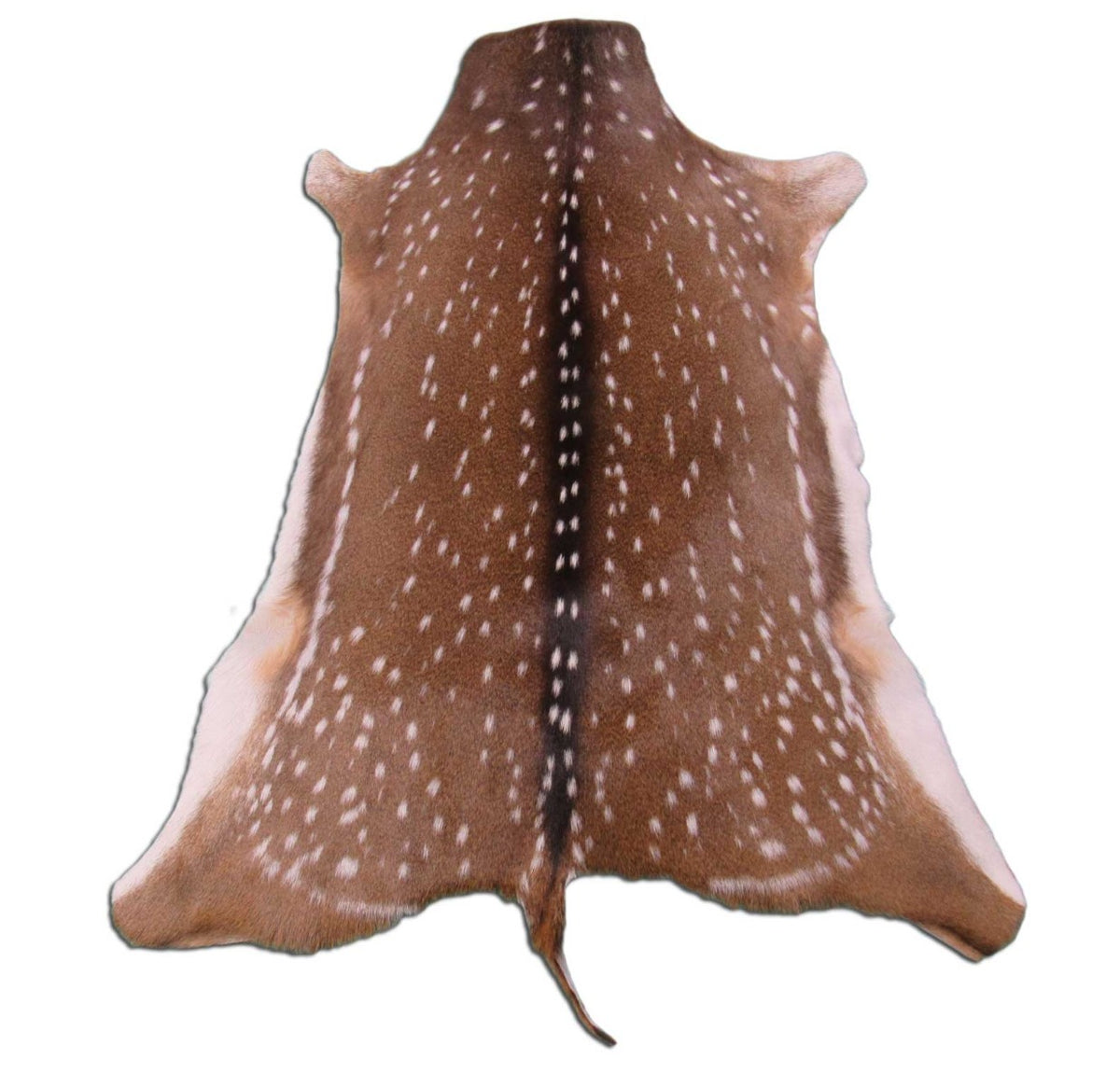 Gorgeous Axis Deer Skin (perfect tanning/ has small tail) Size: 46x37" Axis-692