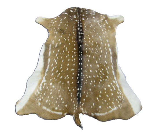 Gorgeous & Large Axis Deer Skin Size: 45x42" Axis-695