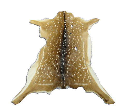 2nd Grade AXIS DEER SKIN (3 holes) Size: 44x38" Axis-704