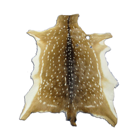 2nd Grade AXIS DEER SKIN (3 holes) Size: 40x30" Axis-706