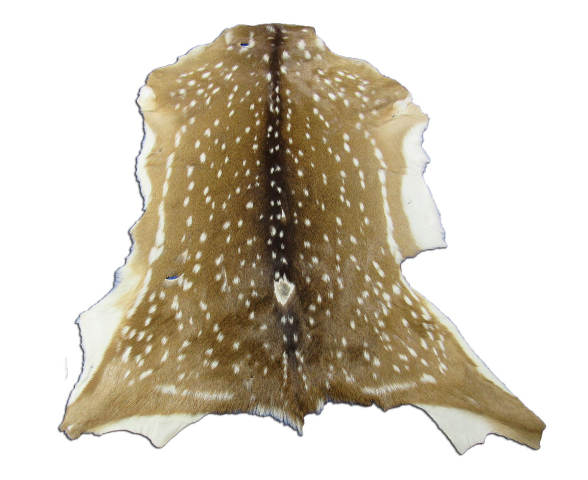 2nd Grade AXIS DEER SKIN (5 holes) Size: 42x38" Axis-707