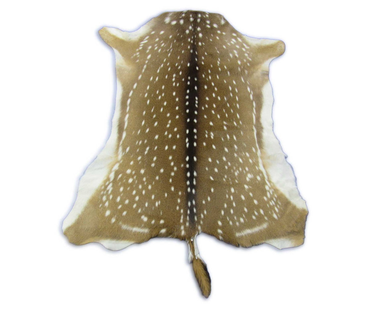 Top quality Axis Deer Skin (1 tiny hole) Size: 46x38" Axis-709