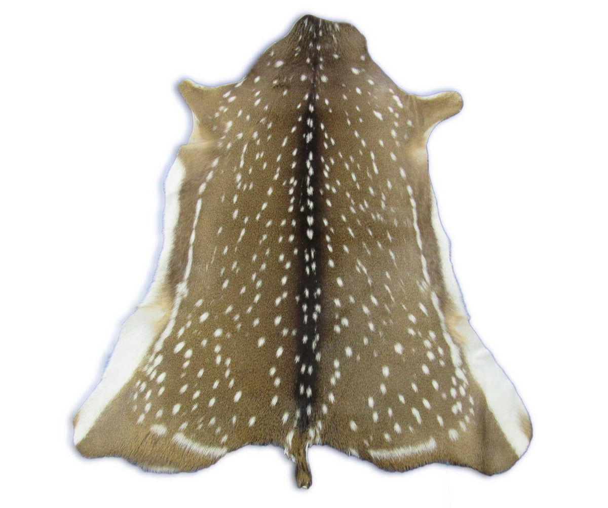 Top quality Axis Deer Skin (no holes) Size: 48x37" Axis-710